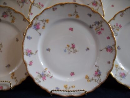 BAWO & DOTTER SCATTERED FLOWERS- DINNER PLATE