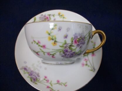 WM GUERIN & CO - BAWO & DOTTER (ELITE WORKS)  LIMOGES-  PURPLE ASTERS, YELLOW & PINK FLORAL SPRAYS (c.1900-32)   CUP & SAUCER- SMOOTH-  EXCELLENT !!  RARE !!