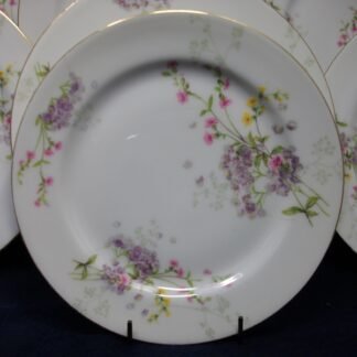 WM GUERIN & CO - BAWO & DOTTER (ELITE WORKS)  LIMOGES-  PURPLE ASTERS, YELLOW & PINK FLORAL SPRAYS (c.1900-32)  SALAD PLATE  7 5/8" - EXCELLENT!!  RARE !!