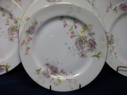 WM GUERIN & CO - BAWO & DOTTER (ELITE WORKS)  LIMOGES-  PURPLE ASTERS, YELLOW & PINK FLORAL SPRAYS (c.1900-32)  SALAD PLATE  7 5/8" - EXCELLENT!!  RARE !!