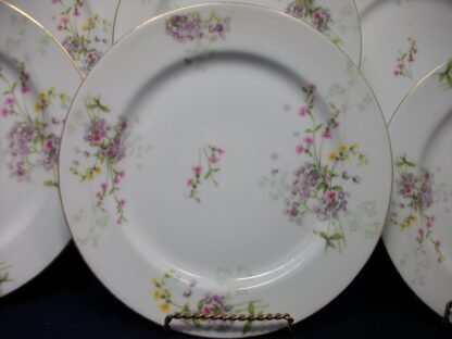 WM GUERIN & CO - BAWO & DOTTER (ELITE WORKS)  LIMOGES-  PURPLE ASTERS, YELLOW & PINK FLORAL SPRAYS (c.1900-32)  DINNER PLATE  9 3/4" - EXCELLENT!!  RARE !!