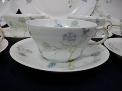  HAVILAND  (THEO)  LIMOGES FRANCE-  BLUE CORNFLOWER (c.1895)   CUP & SAUCER-  SMOOTH-  EXCELLENT !!  RARE !!