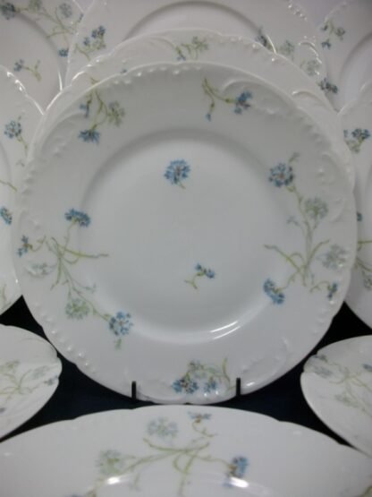 HAVILAND  (THEO)  LIMOGES FRANCE-  BLUE CORNFLOWER (c.1895)   SALAD PLATE 8 1/8"-  SCALLOPED-  EXCELLENT !!  RARE !!