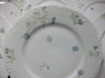 HAVILAND  (THEO)  LIMOGES FRANCE-  BLUE CORNFLOWER (c.1895)   LUNCHEON PLATE  9 1/8"-  SCALLOPED-  EXCELLENT !!  RARE !!