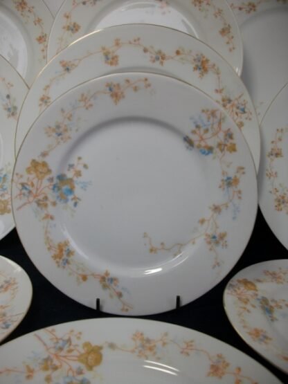 BAWO & DOTTER (ELITE WORKS)  LIMOGES-  AUTUMN VINE BLUE FLORAL (c.1896-1900) SALAD PLATE  7  7/16"-  RARE!! EXCELLENT!!