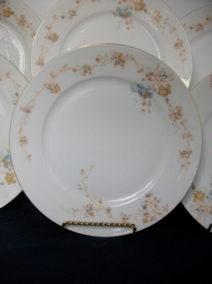 BAWO & DOTTER (ELITE WORKS)  LIMOGES-  AUTUMN VINE BLUE FLORAL (c.1896-1900)  DINNER  PLATE  9  1/2"-  RARE!! EXCELLENT!!