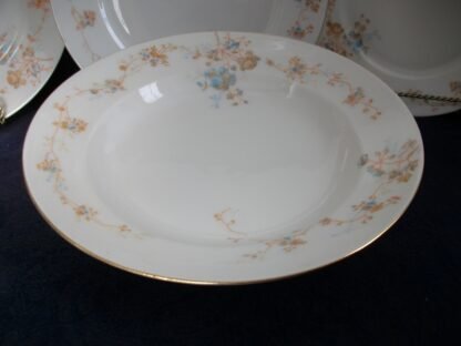 BAWO & DOTTER (ELITE WORKS)  LIMOGES-  AUTUMN VINE BLUE FLORAL (c.1896-1900)  RIM SOUP BOWL  9"-  RARE!! EXCELLENT!!