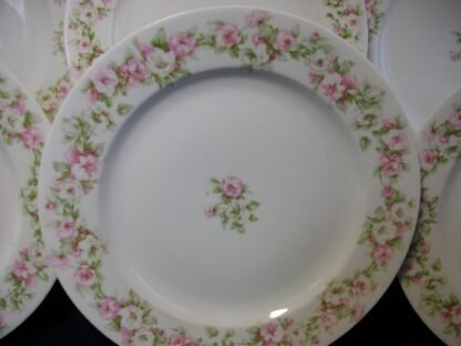 HAVILAND  (THEODORE)  LIMOGES  FRANCE-  ROSE GARLAND PINK & WHITE (c.1903)  DINNER PLATE  9 7/8" -  SMOOTH-  EXCELLENT !!  RARE !!