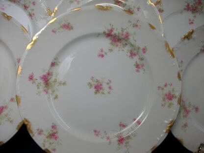 CHARLES FIELD HAVILAND/GERARD, DUFRAISSEIX & ABBOT (GDA) LIMOGES FRANCE- WILD GERANIUM PINK (c.1900+) DINNER PLATE 9 3/4 " - GOLD DAUBS- EXCELLENT !! RARE !!