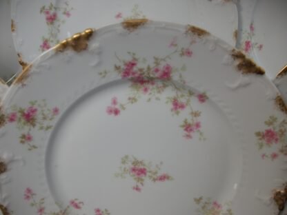 CHARLES FIELD HAVILAND/GERARD, DUFRAISSEIX & ABBOT (GDA) LIMOGES FRANCE-  WILD GERANIUM PINK (c.1900+)  DINNER PLATE  -  RAISED GOLD DAUBS-  EXCELLENT !!  RARE !!