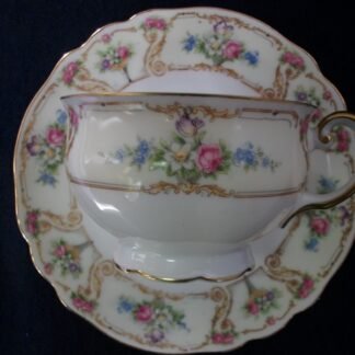 PAUL MULLER SELB BAVARIA (HUTSCHENRUETHER)  POMPADOUR-  FLORAL CARTOUCHES  (c.1917-28)  CUP & SAUCER-  EXCELLENT !!  RARE !!