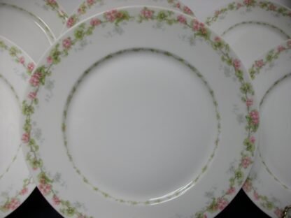 WM GUERIN & CO (LIMOGES FRANCE) WILD ROSES GARLAND- PINK & GREEN (c.1900-32)   DINNER PLATE  9 3/4" - SMOOTH-  EXCELLENT !!  RARE !!