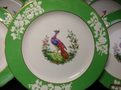 SPODE CHELSEA BIRD GREEN  R4689  SCALLOPED (c.1927)  DINNER PLATE #6 -  10 3/4 "  EXCELLENT !!  RARE !!