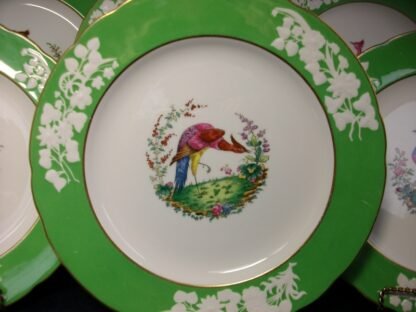 SPODE CHELSEA BIRD GREEN  R4689  SCALLOPED (c.1927)  DINNER PLATE #7 -  10 3/4 "  EXCELLENT !!  RARE !!
