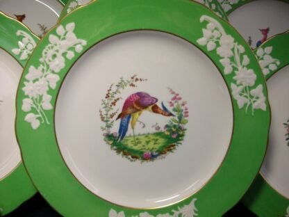 SPODE CHELSEA BIRD GREEN  R4689  SCALLOPED (c.1927)  DINNER PLATE #8 -  10 3/4 "  EXCELLENT !!  RARE !!