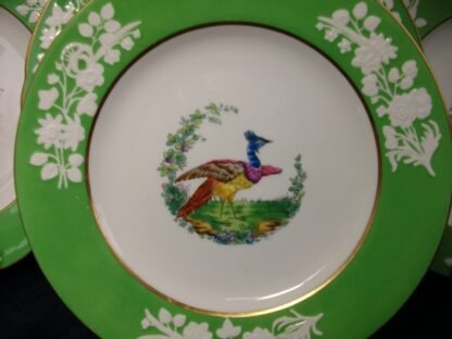 SPODE CHELSEA BIRD GREEN  R4689  SMOOTH (c.1927)   LUNCH PLATE #1 -  8 1/2"  EXCELLENT !!  RARE !!