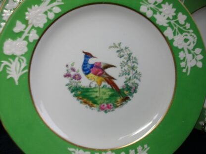 SPODE CHELSEA BIRD GREEN  R4689  SMOOTH (c.1927)   LUNCH PLATE #3 -  8 1/2"  EXCELLENT !!  RARE !!