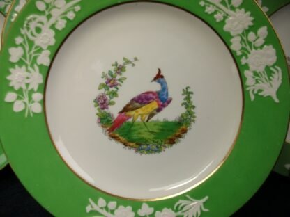 SPODE CHELSEA BIRD GREEN  R4689  SMOOTH (c.1927)   LUNCH PLATE #4 -  8 1/2"  EXCELLENT !!  RARE !!