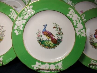 SPODE CHELSEA BIRD GREEN  R4689  SCALLOPED (c.1927)  DINNER PLATE #2 -  10 3/4 "  EXCELLENT !!  RARE !!