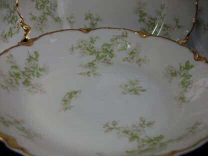 HAVILAND LIMOGES CHINA-  APPLE BLOSSOM #21765- SCHLEIGER 61L- GOLD TRIM, GREEN WITH PINK WHITE FLOWERS (c.1894+)   COUPE SOUP BOWL  7 1/2"-  EARLY RANSON SHAPE