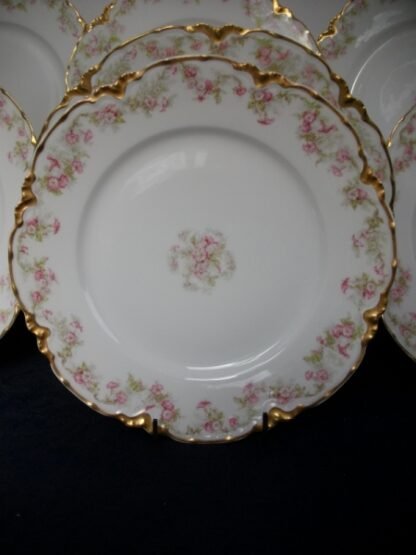 HAVILAND LIMOGES CHINA- FLORAL GARLAND #22079- SCHLEIGER 525- GOLD TRIM, PINK WHITE FLOWERS (c.1894+) LUNCH PLATE 8 1/2"- EARLY RANSON SHAPE