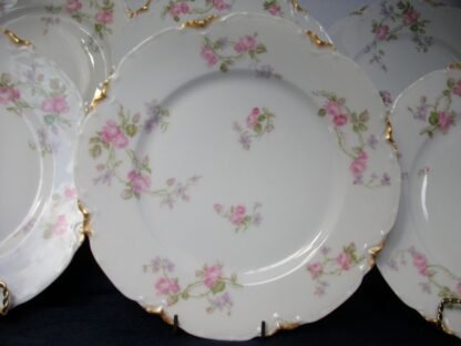 HAVILAND LIMOGES CHINA- SCATTERED ROSES  SCHLEIGER 39F - GOLD DAUBS (c.1894+)  DINNER  PLATE  9 5/8" -  EARLY RANSON SHAPE